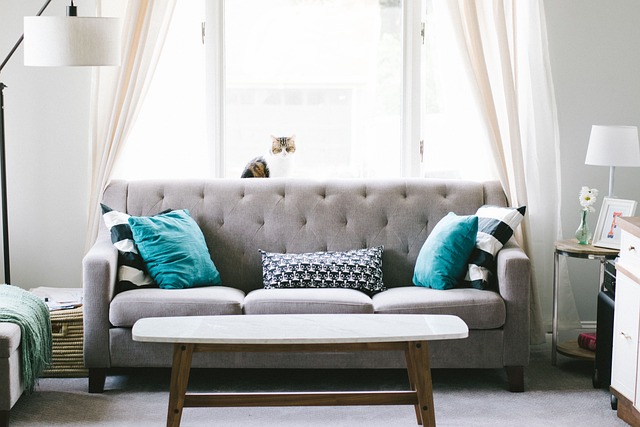 inviting, cozy , clutter-free living room